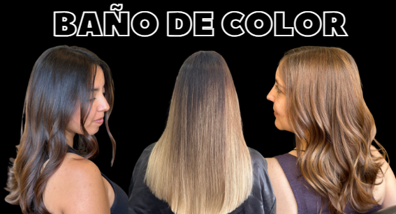 Referencia Bano de Color