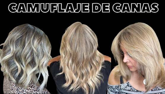 Referencia Camuflaje de Canas