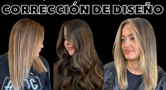 Referencia Correccion de Diseno