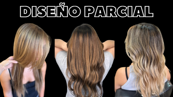 Referencia Diseno Parcial